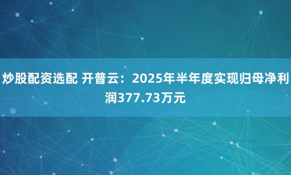 炒股配资选配 开普云：2025年半年度实现归母净利润377.73万元