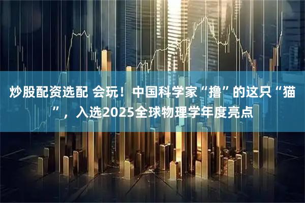 炒股配资选配 会玩！中国科学家“撸”的这只“猫”，入选2025全球物理学年度亮点